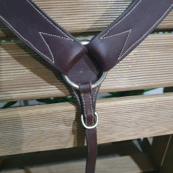 Collier de chasse western
