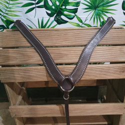 Collier de chasse western