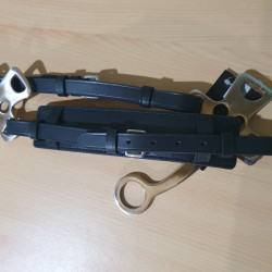 Hackamore Horze