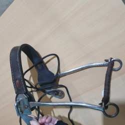 Hackamore