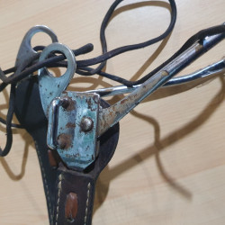 Hackamore