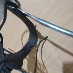 Hackamore