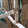 Licol poulain Waldhausen