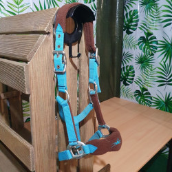 Licol poney Equi-Thème