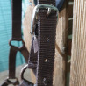 Licol poney Fouganza
