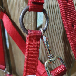 Licol cob Umbria