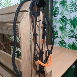 Licol cheval + longe