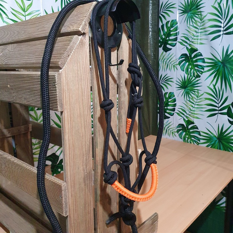 Licol cheval + longe