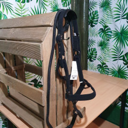 Licol cheval GEM + longe