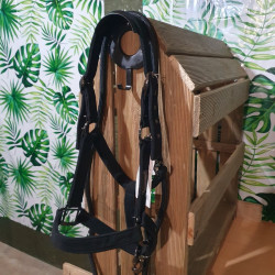 Licol cheval GEM + longe