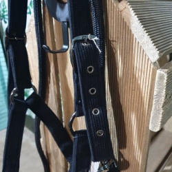 Licol cheval GEM + longe
