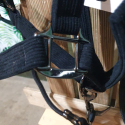 Licol cheval GEM + longe