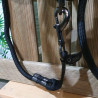 Licol cheval GEM + longe