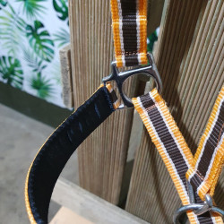 Licol cheval T de T