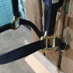 Licol cheval Umbria