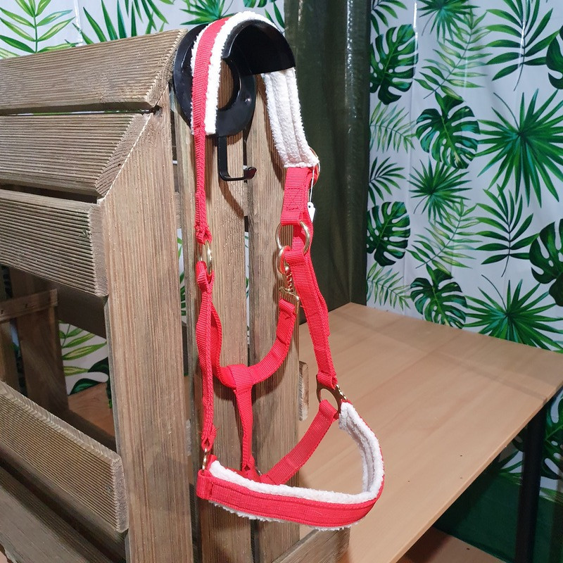 Licol cheval