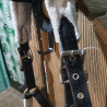 Licol cheval