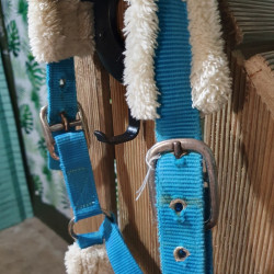 Licol cheval Showmaster