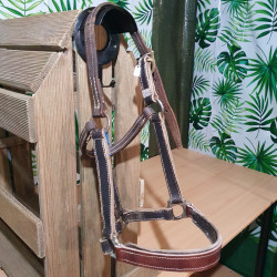 Licol cheval cuir