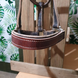 Licol cheval cuir