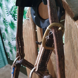 Licol cheval cuir