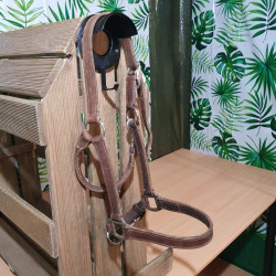 Licol cheval cuir