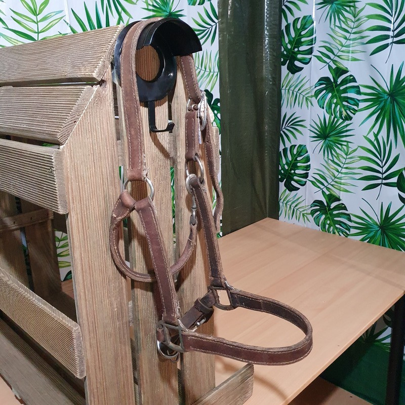 Licol cheval cuir