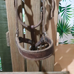 Licol cheval cuir