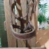 Licol cheval cuir