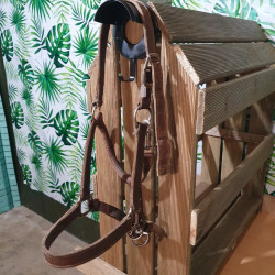 Licol cheval cuir