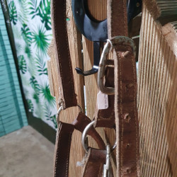 Licol cheval cuir
