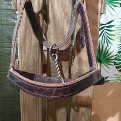 Licol cheval cuir