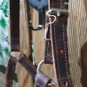 Licol cheval cuir