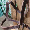 Licol cheval cuir
