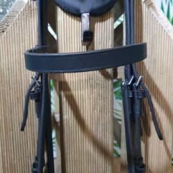 Bridon poney