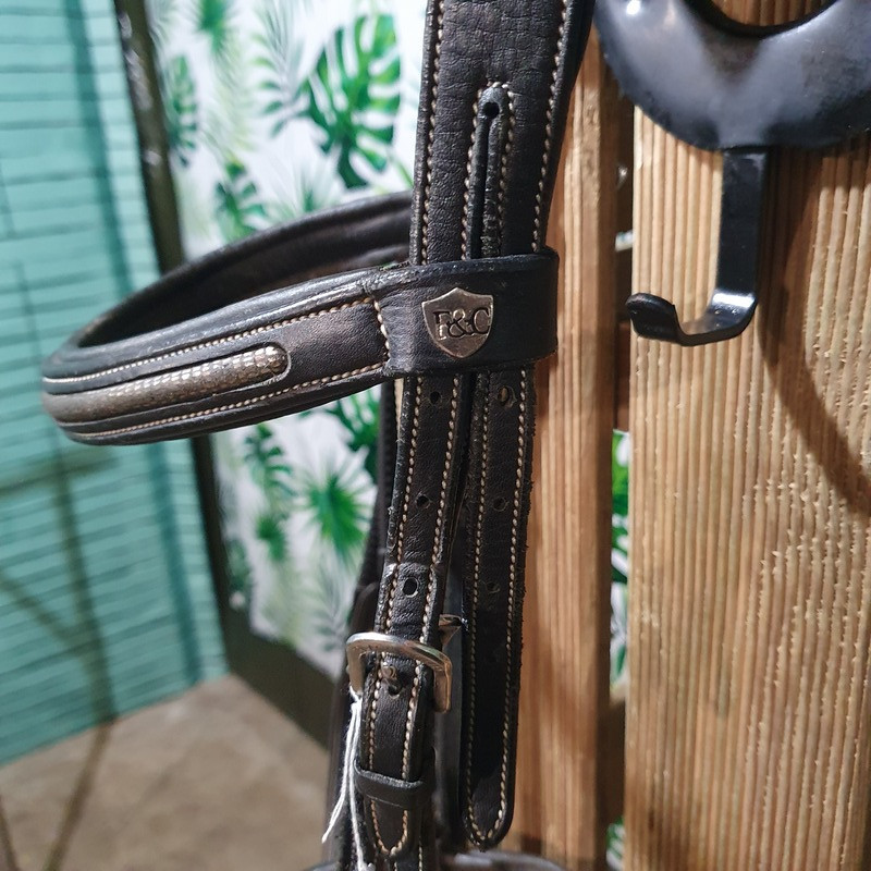 Bridon poney Flags & Cup