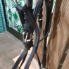 Bridon cheval