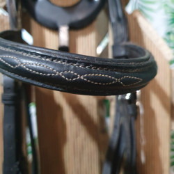 Bridon cheval