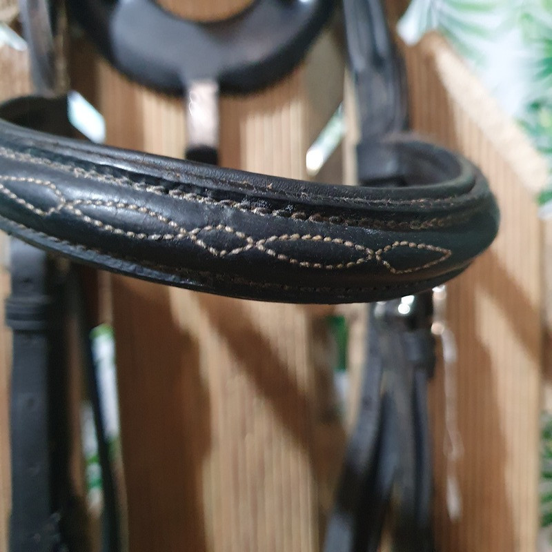 Bridon cheval