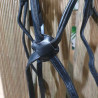 Bridon cheval