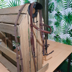 Bridon cheval