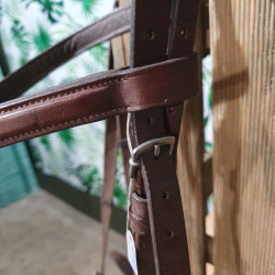 Bridon cheval