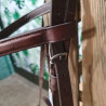 Bridon cheval