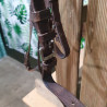 Bridon cheval