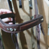 Bridon cheval