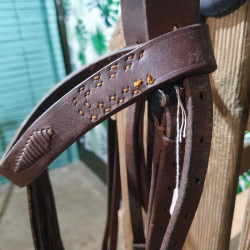 Bridon espagnol cheval