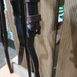 Bridon espagnol cheval
