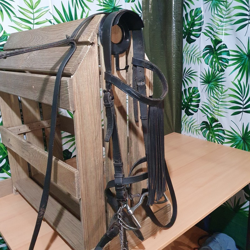 Bridon espagnol cheval