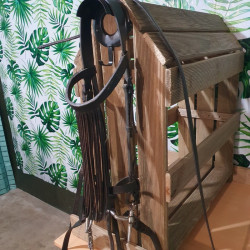 Bridon espagnol cheval