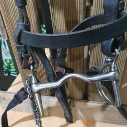 Bridon espagnol cheval